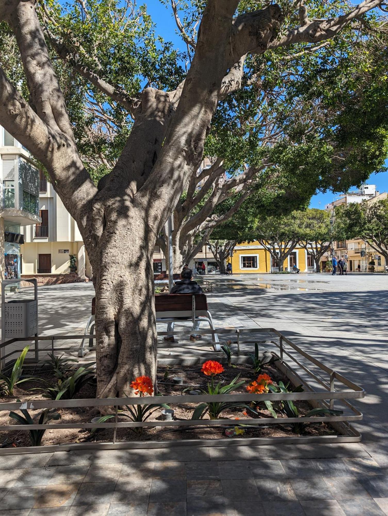 2 Bedroom Algorfa Townhouse With Pool Castillo de Montemar Buitenkant foto